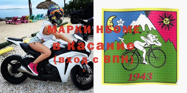 шишки Баксан