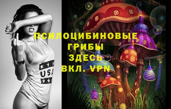 шишки Баксан