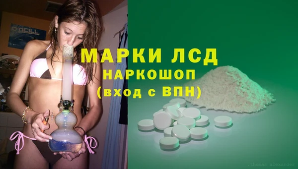 мяу мяу мука Беломорск