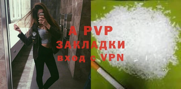 шишки Баксан