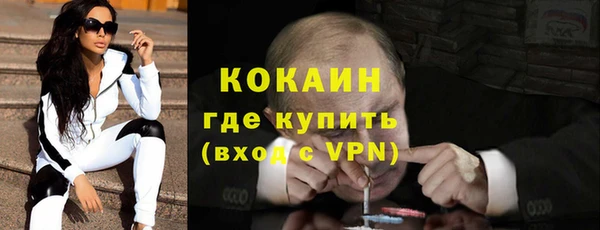 шишки Баксан