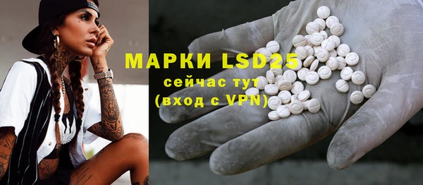 шишки Баксан