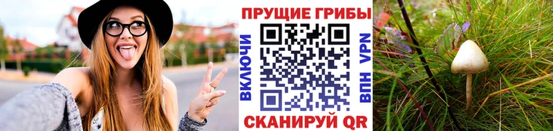 продажа наркотиков  Реутов  Галлюциногенные грибы GOLDEN TEACHER 