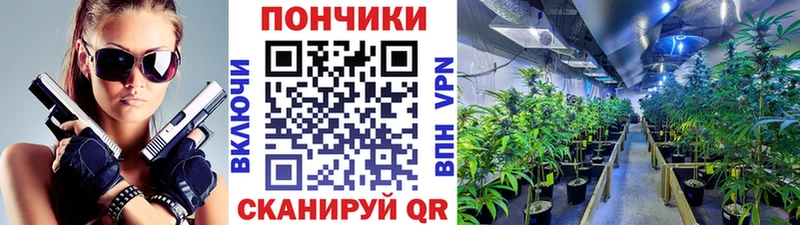 закладки  Реутов  Каннабис марихуана 